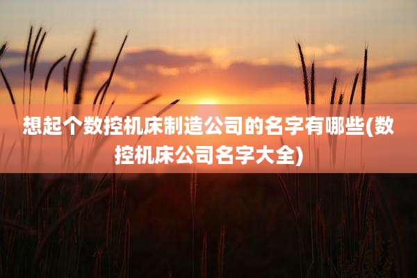 想起个数控机床制造公司的名字有哪些(数控机床公司名字大全)