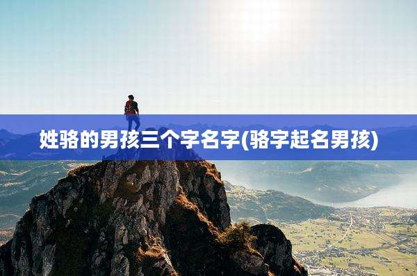姓骆的男孩三个字名字(骆字起名男孩)