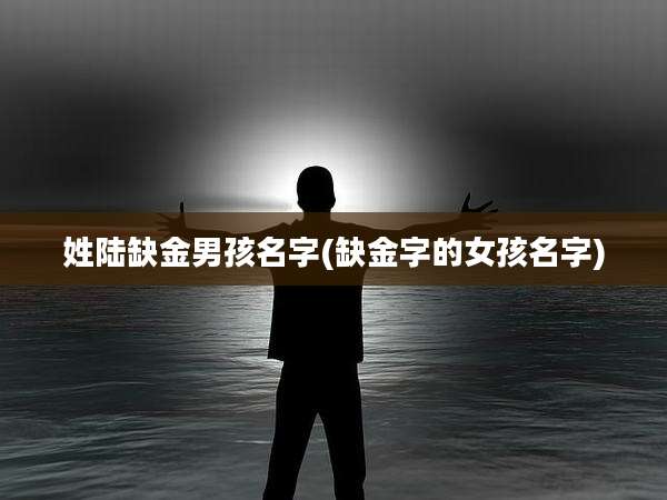 姓陆缺金男孩名字(缺金字的女孩名字)