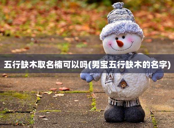 五行缺木取名楠可以吗(男宝五行缺木的名字)