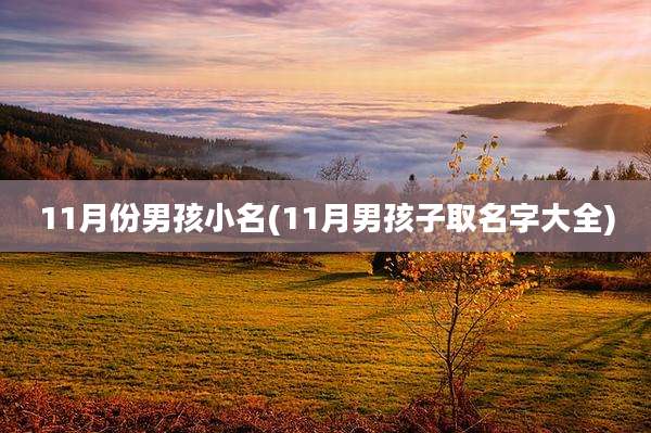 11月份男孩小名(11月男孩子取名字大全)