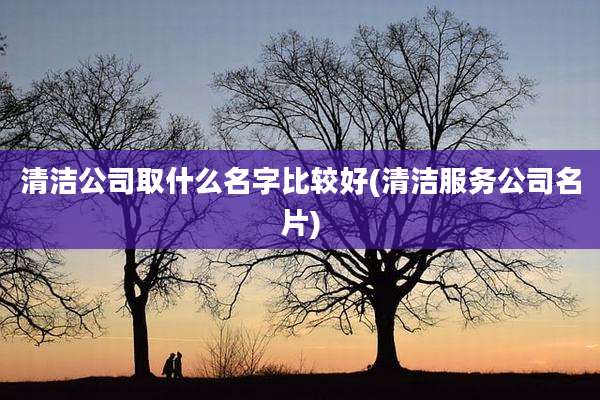 清洁公司取什么名字比较好(清洁服务公司名片)