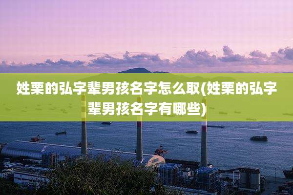 姓栗的弘字辈男孩名字怎么取(姓栗的弘字辈男孩名字有哪些)