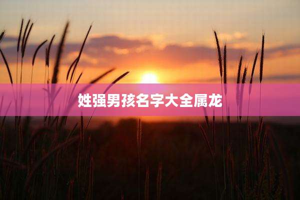 姓强男孩名字大全属龙