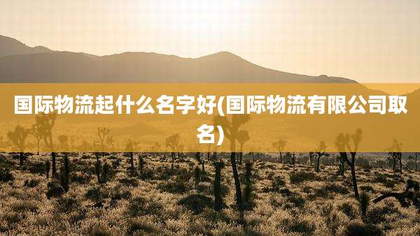 国际物流起什么名字好(国际物流有限公司取名)