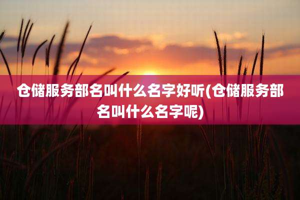 仓储服务部名叫什么名字好听(仓储服务部名叫什么名字呢)