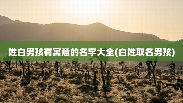姓白男孩有寓意的名字大全(白姓取名男孩)