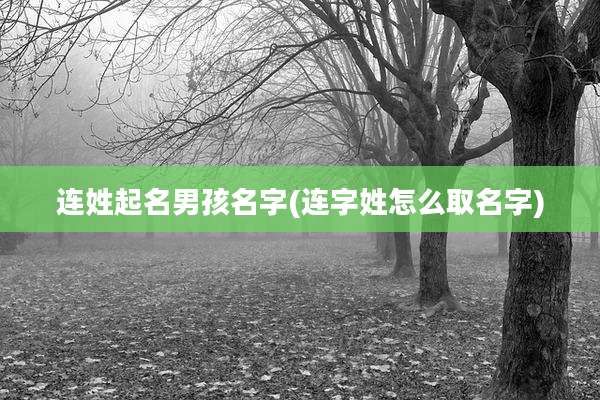 连姓起名男孩名字(连字姓怎么取名字)