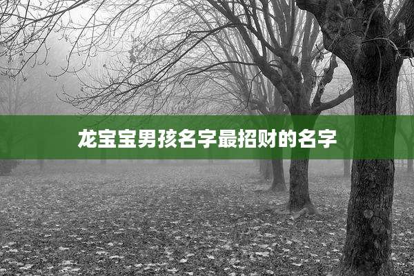 龙宝宝男孩名字最招财的名字