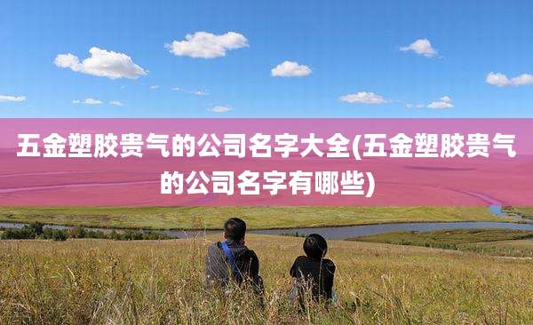 五金塑胶贵气的公司名字大全(五金塑胶贵气的公司名字有哪些)