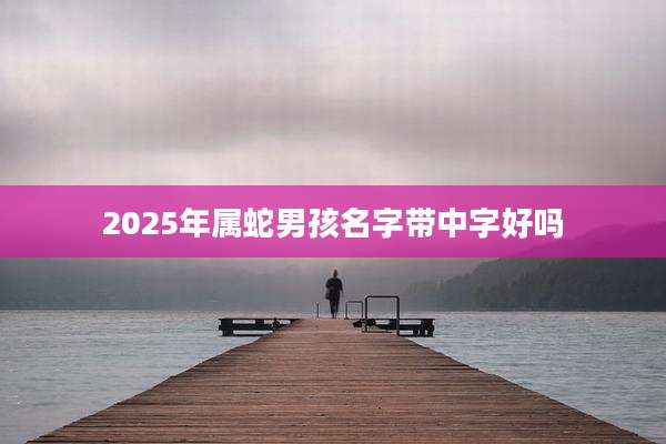 2025年属蛇男孩名字带中字好吗