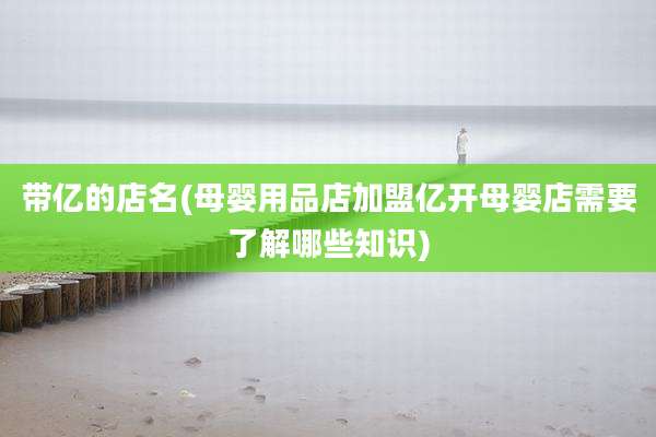 带亿的店名(母婴用品店加盟亿开母婴店需要了解哪些知识)