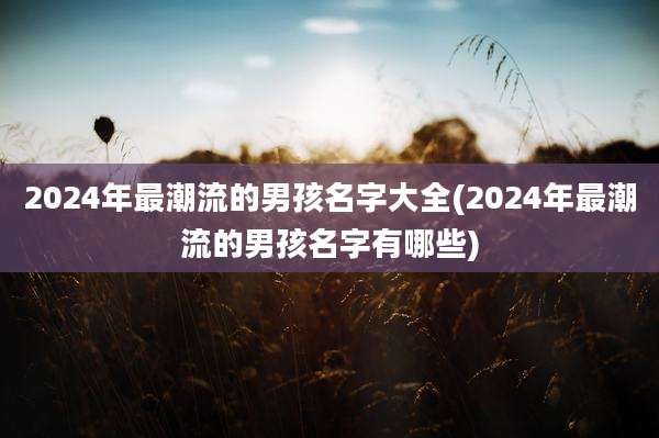 2024年最潮流的男孩名字大全(2024年最潮流的男孩名字有哪些)