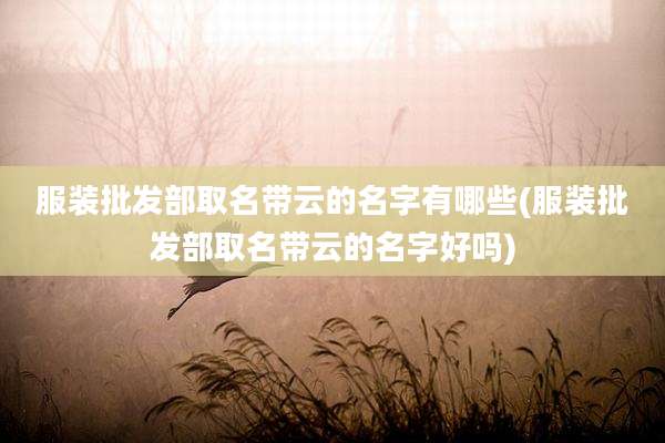 服装批发部取名带云的名字有哪些(服装批发部取名带云的名字好吗)