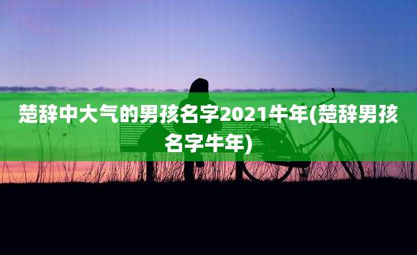 楚辞中大气的男孩名字2021牛年(楚辞男孩名字牛年)