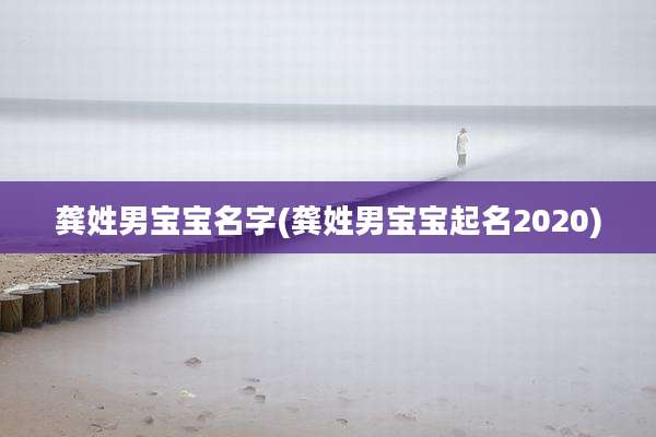 龚姓男宝宝名字(龚姓男宝宝起名2020)