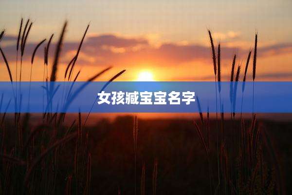 女孩臧宝宝名字