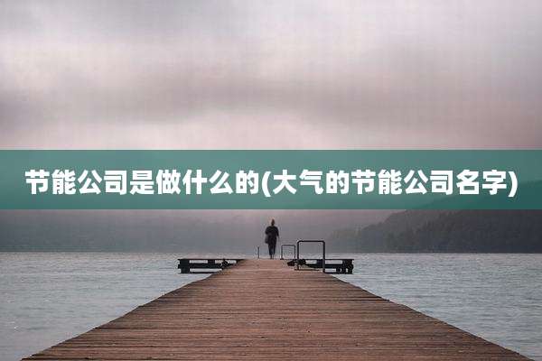 节能公司是做什么的(大气的节能公司名字)