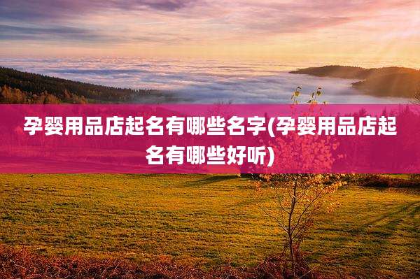 孕婴用品店起名有哪些名字(孕婴用品店起名有哪些好听)