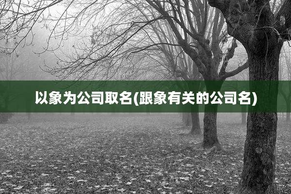 以象为公司取名(跟象有关的公司名)
