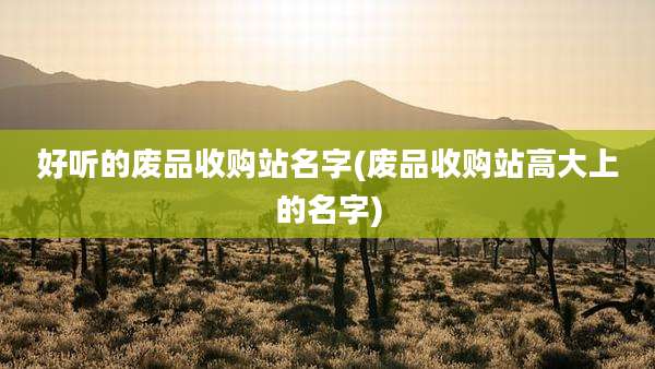 好听的废品收购站名字(废品收购站高大上的名字)