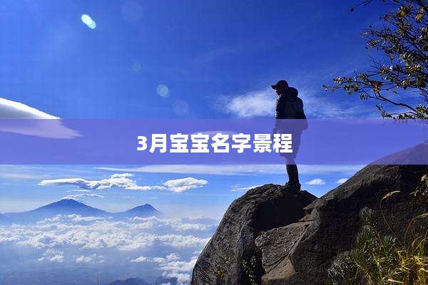 3月宝宝名字景程