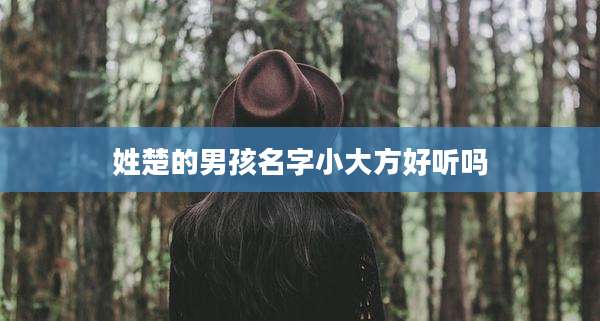 姓楚的男孩名字小大方好听吗