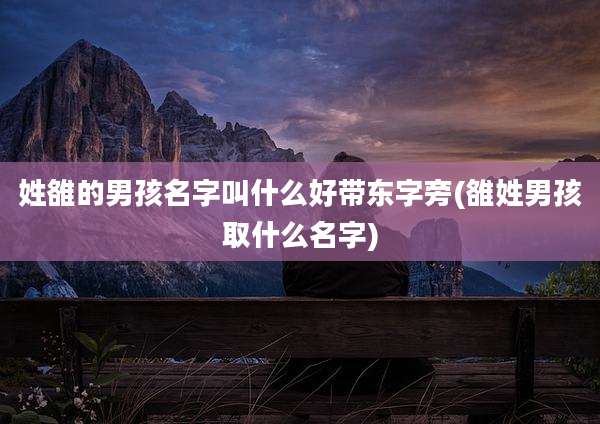 姓雒的男孩名字叫什么好带东字旁(雒姓男孩取什么名字)