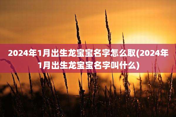 2024年1月出生龙宝宝名字怎么取(2024年1月出生龙宝宝名字叫什么)