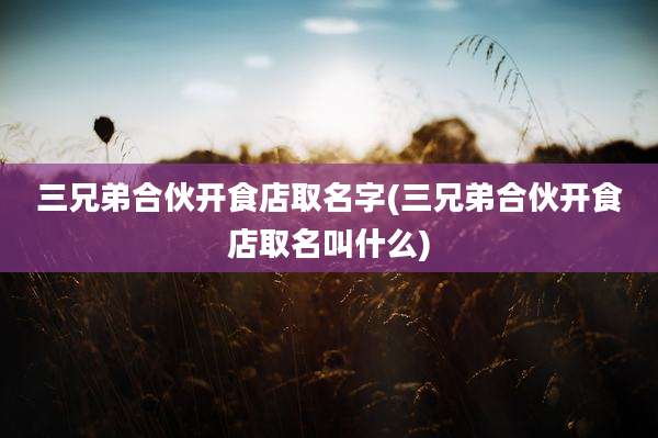三兄弟合伙开食店取名字(三兄弟合伙开食店取名叫什么)