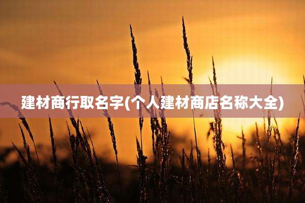 建材商行取名字(个人建材商店名称大全)