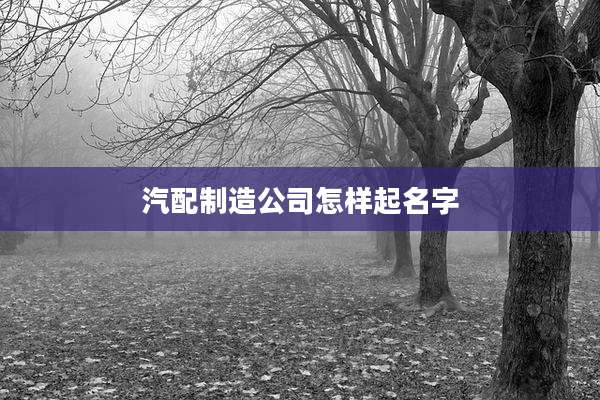 汽配制造公司怎样起名字