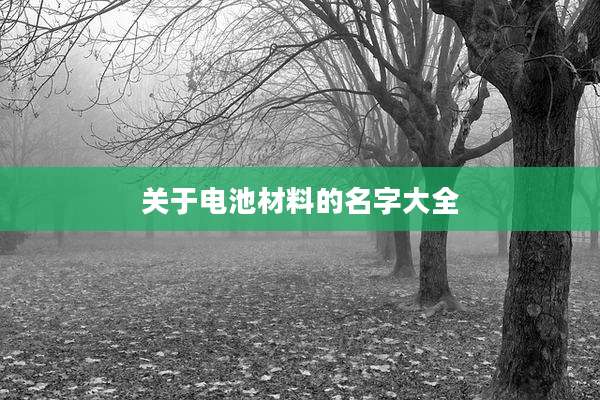 关于电池材料的名字大全