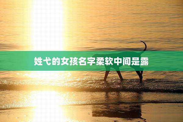姓弋的女孩名字柔软中间是露
