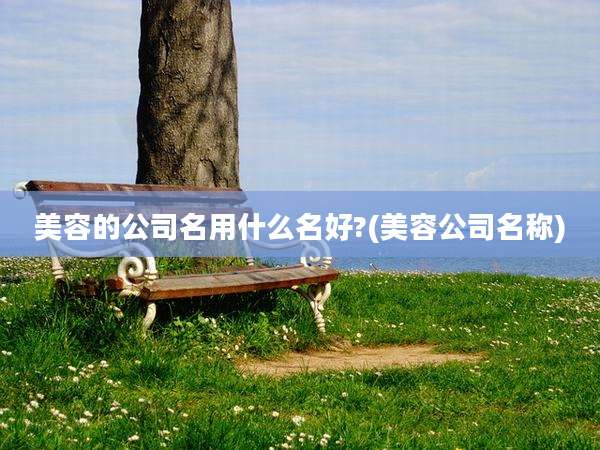 美容的公司名用什么名好?(美容公司名称)