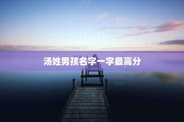 汤姓男孩名字一字最高分