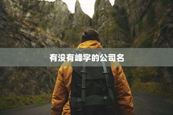 有没有峰字的公司名