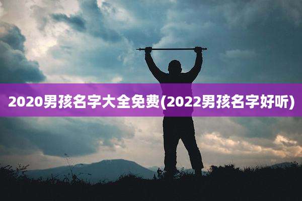 2020男孩名字大全免费(2022男孩名字好听)
