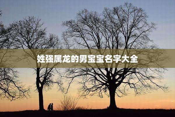 姓强属龙的男宝宝名字大全
