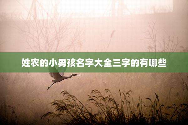 姓农的小男孩名字大全三字的有哪些