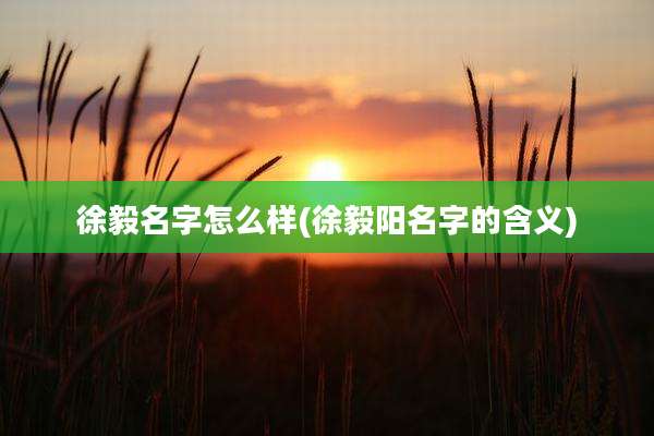 徐毅名字怎么样(徐毅阳名字的含义)