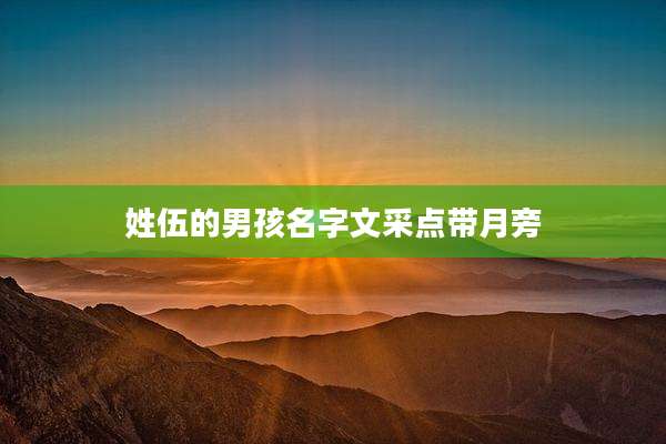 姓伍的男孩名字文采点带月旁
