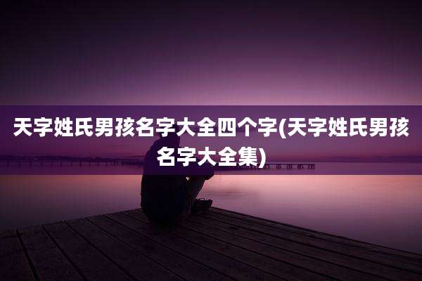 天字姓氏男孩名字大全四个字(天字姓氏男孩名字大全集)