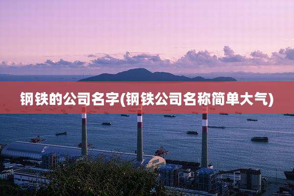 钢铁的公司名字(钢铁公司名称简单大气)