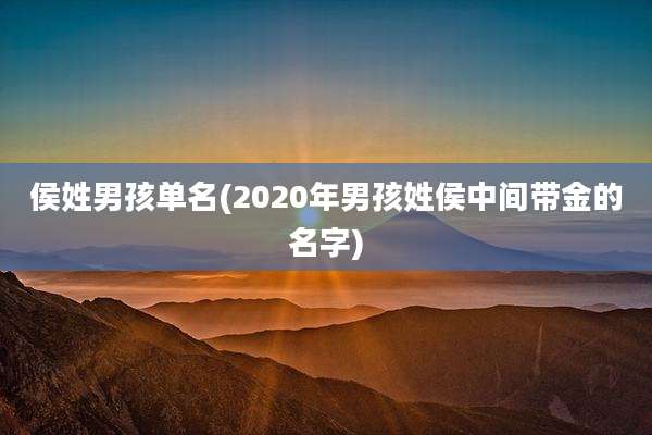 侯姓男孩单名(2020年男孩姓侯中间带金的名字)