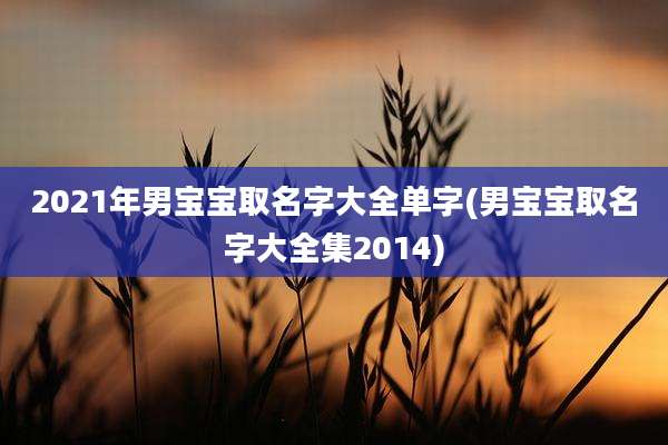 2021年男宝宝取名字大全单字(男宝宝取名字大全集2014)