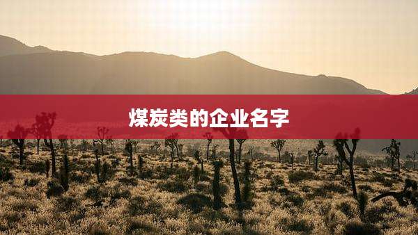 煤炭类的企业名字