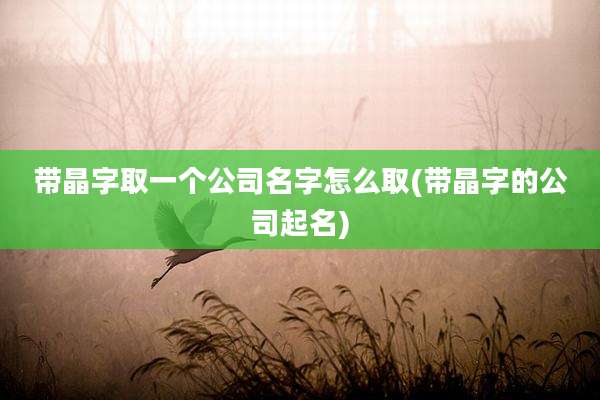 带晶字取一个公司名字怎么取(带晶字的公司起名)