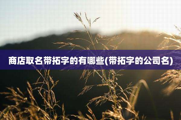 商店取名带拓字的有哪些(带拓字的公司名)