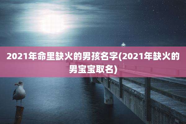 2021年命里缺火的男孩名字(2021年缺火的男宝宝取名)